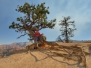Bryce Canyon