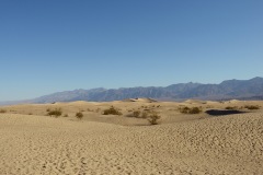 1_DSC_6895.b