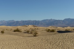 1_DSC_6896.b