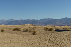1_DSC_6896.b