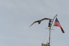 DSC_3641b