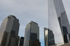 DSC_3809