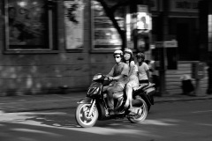 DSC_0647c