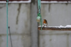 DSC_1281