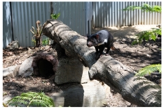 Australie2013-0061