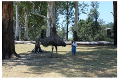 Australie2013-0071