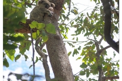 Australie2013-0270