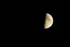 DSC_7960