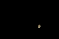 DSC_8050