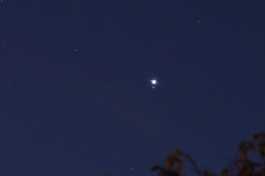 DSC_8082crop