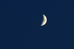 DSC_8229b