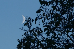 DSC_8466crop2