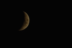 DSC_8508crop1