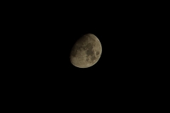 DSC_8556bis