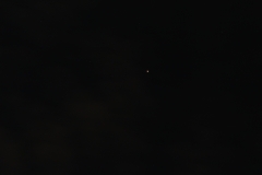 DSC_8613b