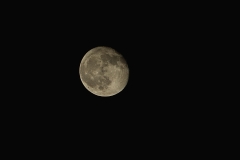 DSC_8624