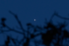 DSC_8732crop