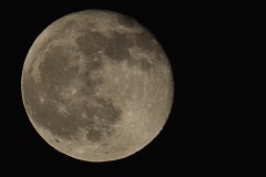 DSC_9494