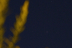 mars2